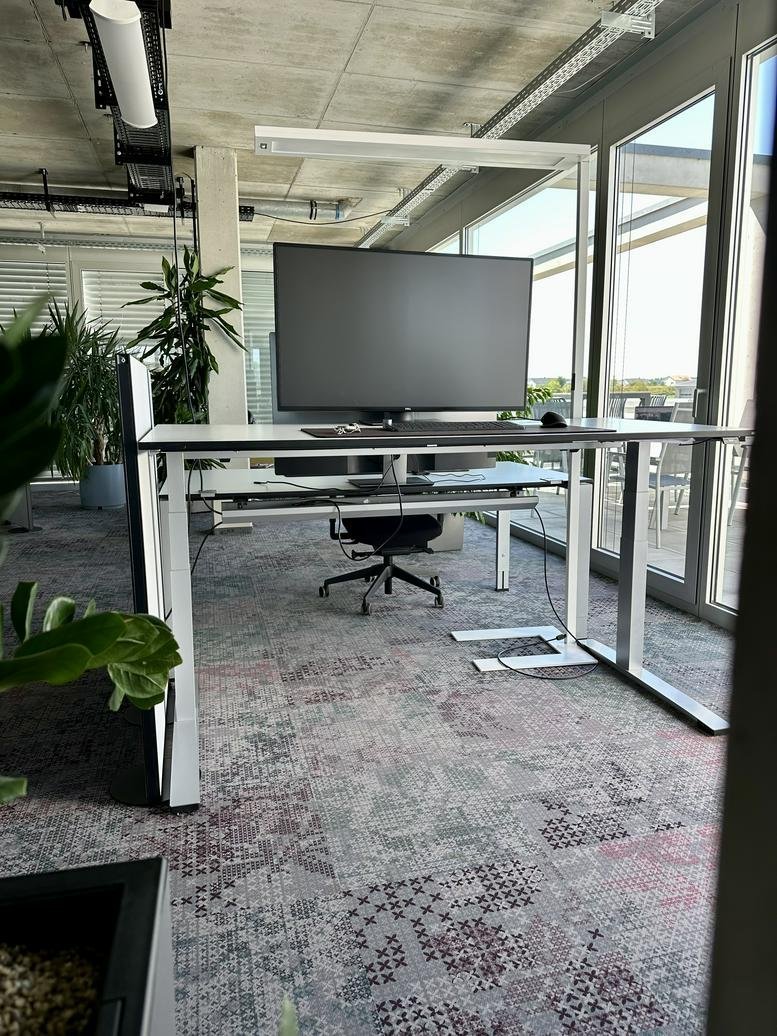 Modern standing desk at Zum weißen Jura with a large monitor and leafy green plants.
