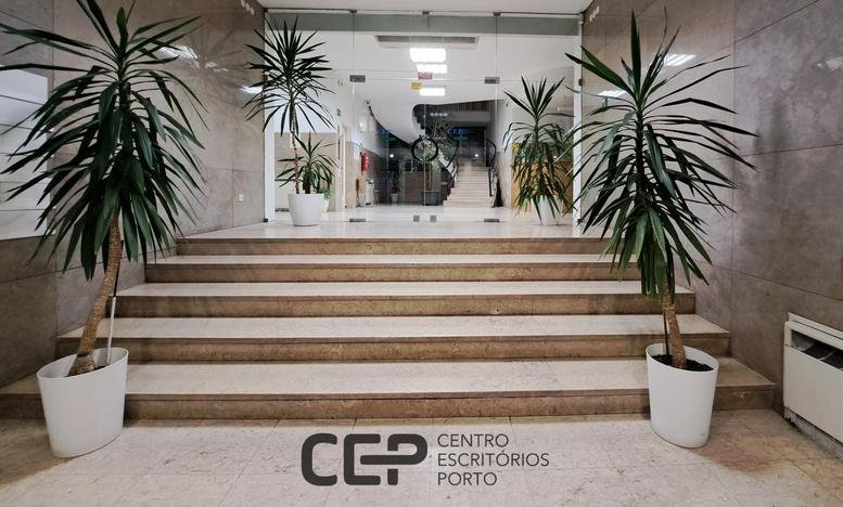 Main entrance steps leading into a modern marble-walled lobby with tall tropical plants.