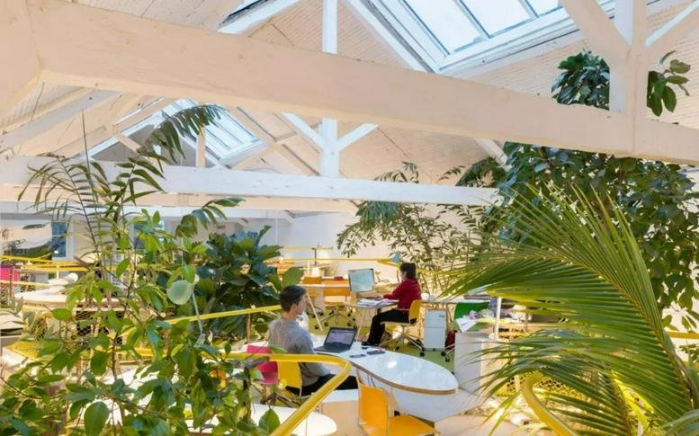 Bright open-plan office at 47-49, Princes Place with vaulted skylights and lush indoor plants.