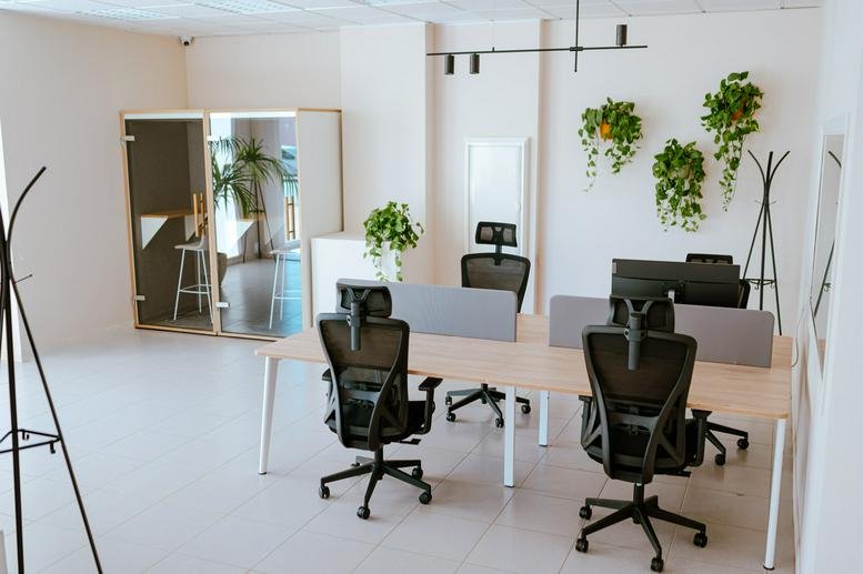 Spacious open-plan workspace at 63, Carrer d'Orient featuring wooden desks, ergonomic chairs, and wall plants.