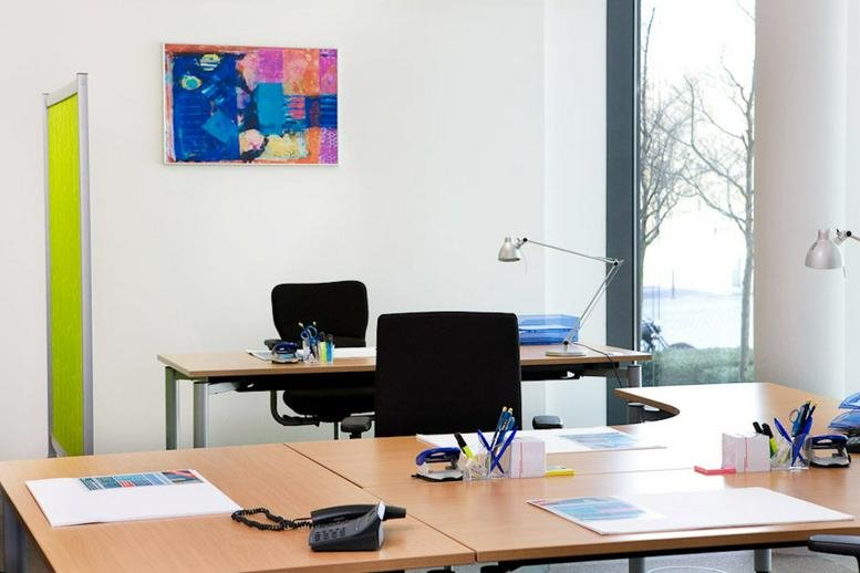 Bright shared office with wooden desks, ergonomic chairs, and colorful abstract wall art.