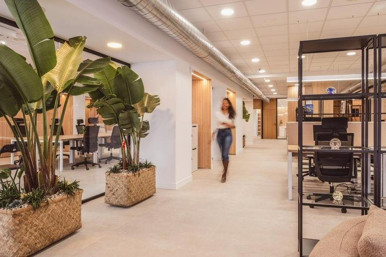Modern reception and lounge area at Carrer Dr. Fleming, 9 with lush indoor plants and wood textures.