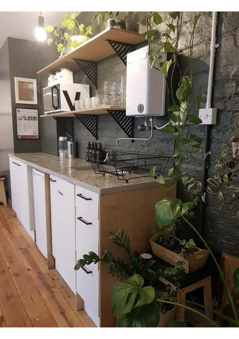 Modern communal kitchen with wooden floors, white cabinetry, and potted plants.