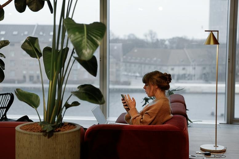 Bright communal lounge at Bryghuspladsen 8, 3, Indre By with large windows, red sofa, and indoor plants.