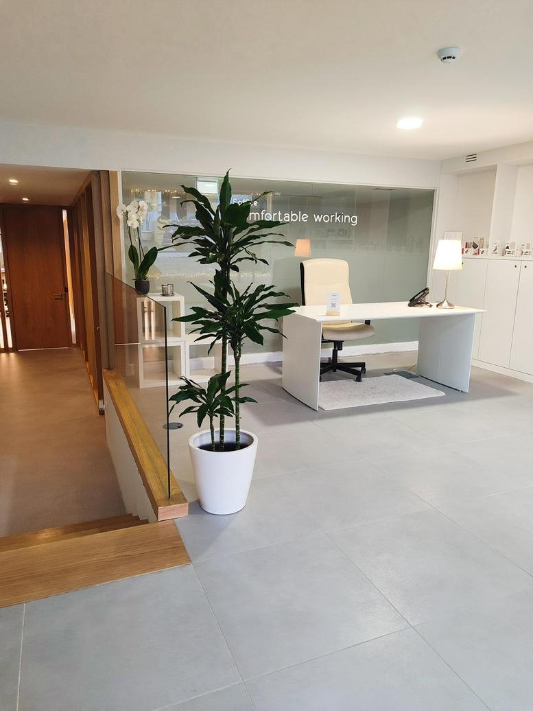 Reception area at Rua Arquitecto Marques da Silva, 120 with a white desk and a large leafy plant.