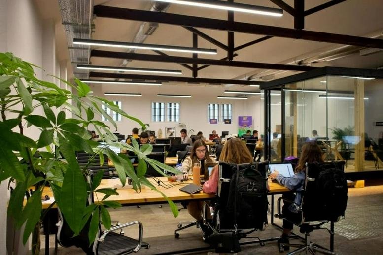 Spacious open-plan workspace at Rua Do Centro Cultural 27A with wooden desks and leafy green plants.