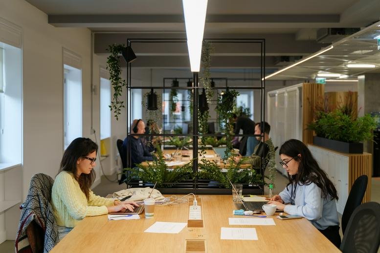Spacious open-plan workspace at Rua Guedes De Azevedo 131, 1º Andar with wooden desks and hanging plants.