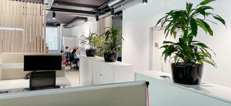 Bright reception area at Seilergraben 61, Zurich featuring lush potted plants and a white desk.