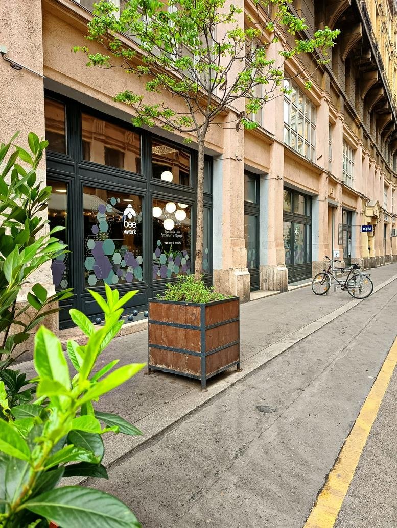 Street level entrance to bee@work ANKER at 2-4 Anker köz featuring a tree and wooden planter box.