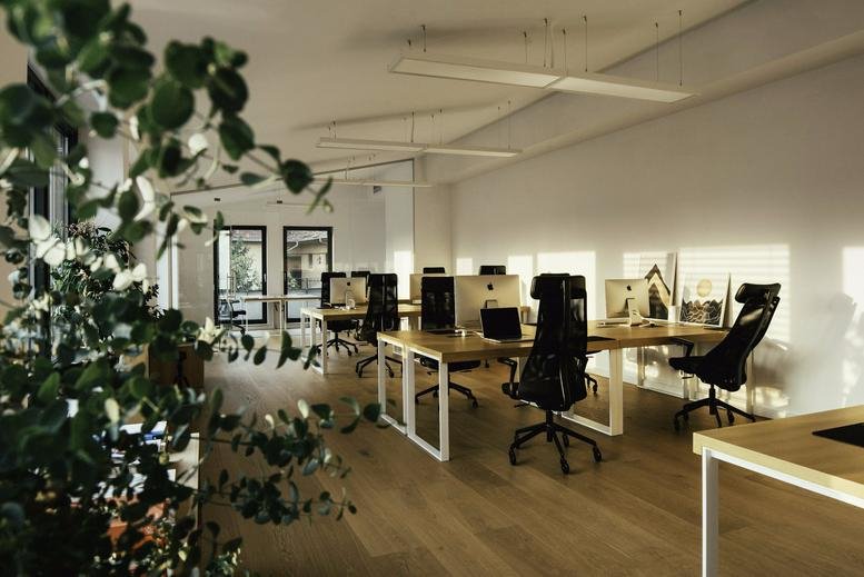 Spacious open-plan office at 2 Piața Muzeului, Historic City Centre, Cluj Napoca with greenery and wooden floors.