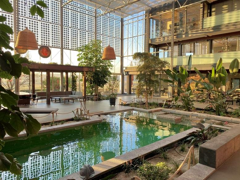 Spacious sunlit indoor garden at 23 Burdastraße with a central pool and tropical plants.
