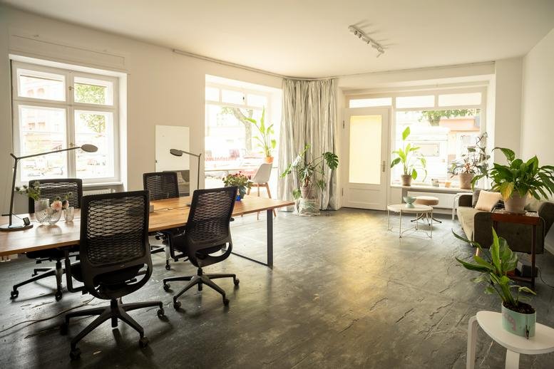 Spacious sun-drenched communal workspace at Jülicher Straße 3 with wooden desks, plants, and large windows.