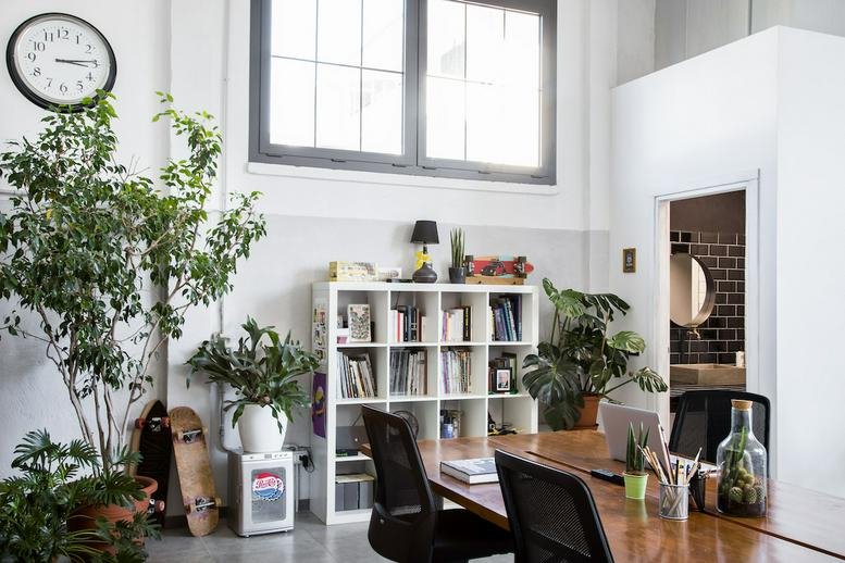 Spacious open-plan workspace at Via della Pescaia, 9A, Fucecchio with tall windows, plants, and a wooden desk.