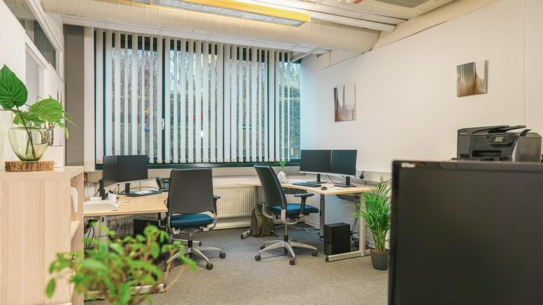 Bright private office at Werner-von-Siemens-Str. 6, Gebäude 10 Eingang d with workstations and indoor plants.