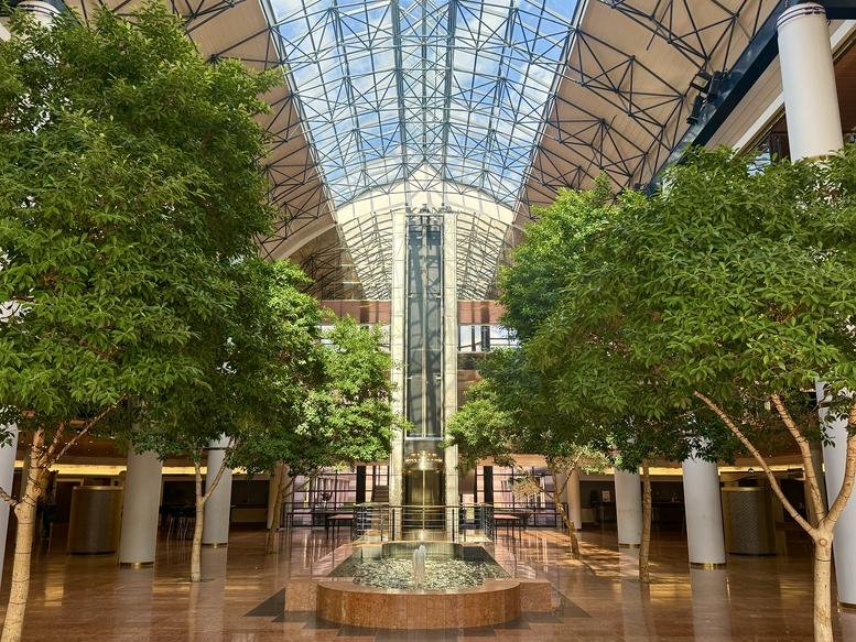 Grand indoor atrium with tall green trees and a vaulted glass ceiling.
