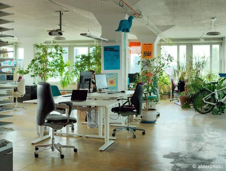 Spacious open-plan workspace at Hermetschloostrasse 70 with modern desks, ergonomic chairs, and many green plants.