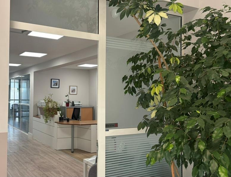 Reception area at Immeuble Center Azur featuring a wooden desk, white cabinetry, and a large indoor tree.