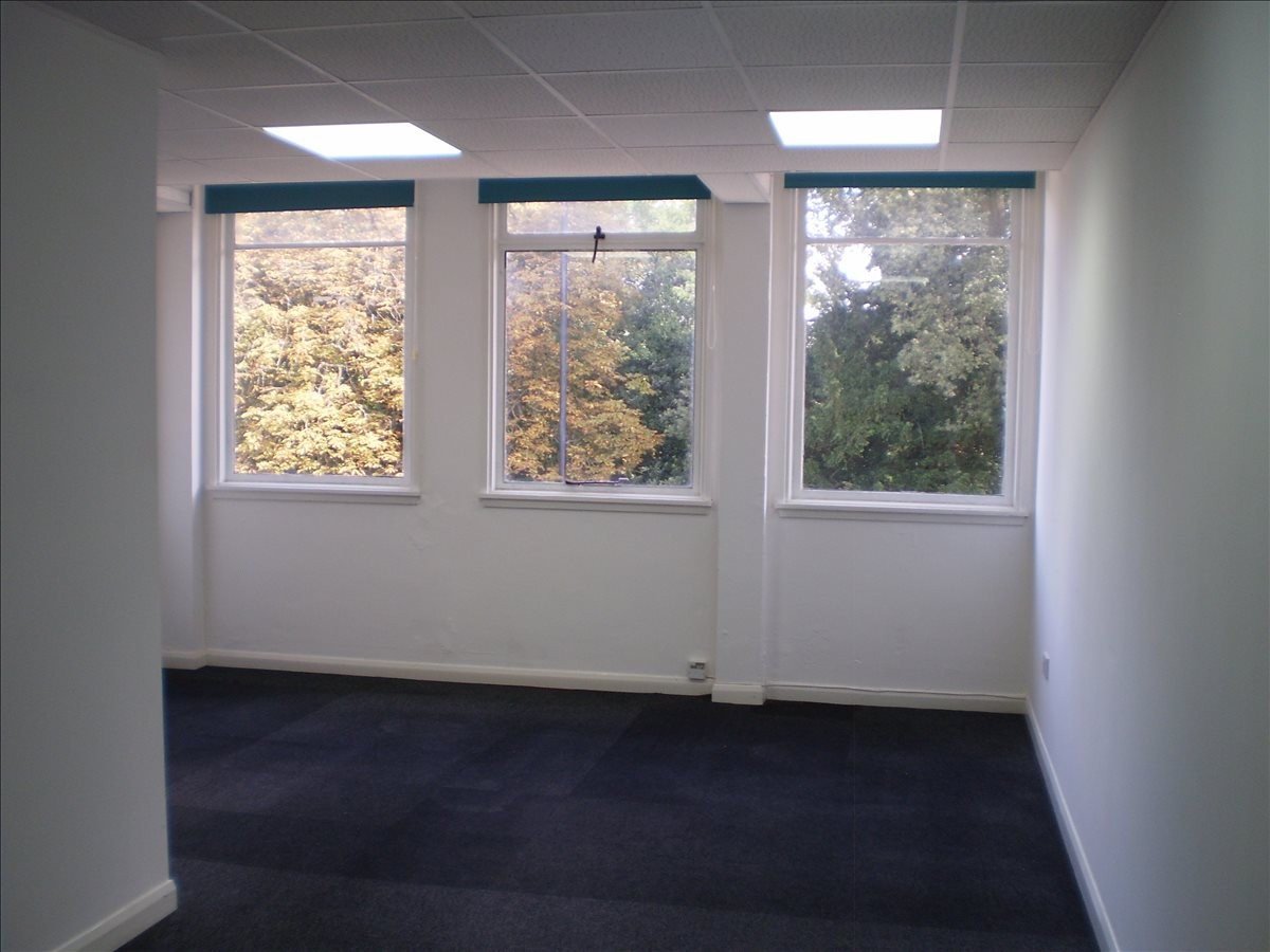 Spacious office suite at 214, 224 Broomhill Road with three large windows overlooking autumn trees.