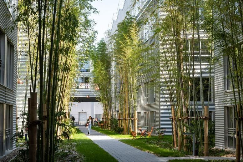 Lush bamboo garden path at the 2 Rue Marc Sangnier, Begles office building.