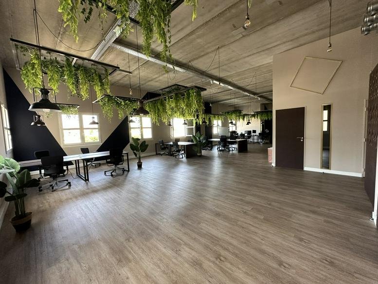 Spacious open-plan coworking area at 260, Rue du Puech Radier, Lattes with hanging plants and wood floors.