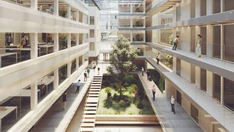 Multistory internal atrium with a central tree, wooden stairs, and glass-walled walkways.