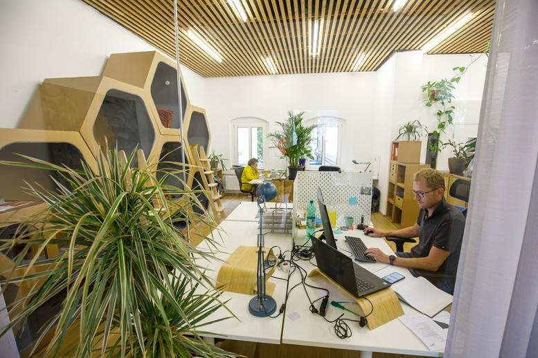 Spacious open-plan workspace at Linzer Straße 17, Ottensheim featuring honeycomb pods and greenery.
