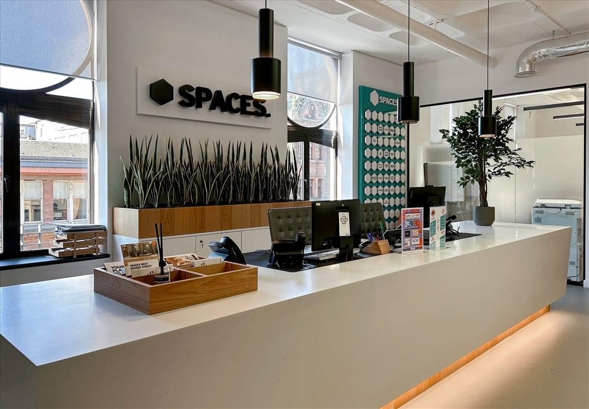 Bright reception desk with minimalist branding and decorative indoor plants.