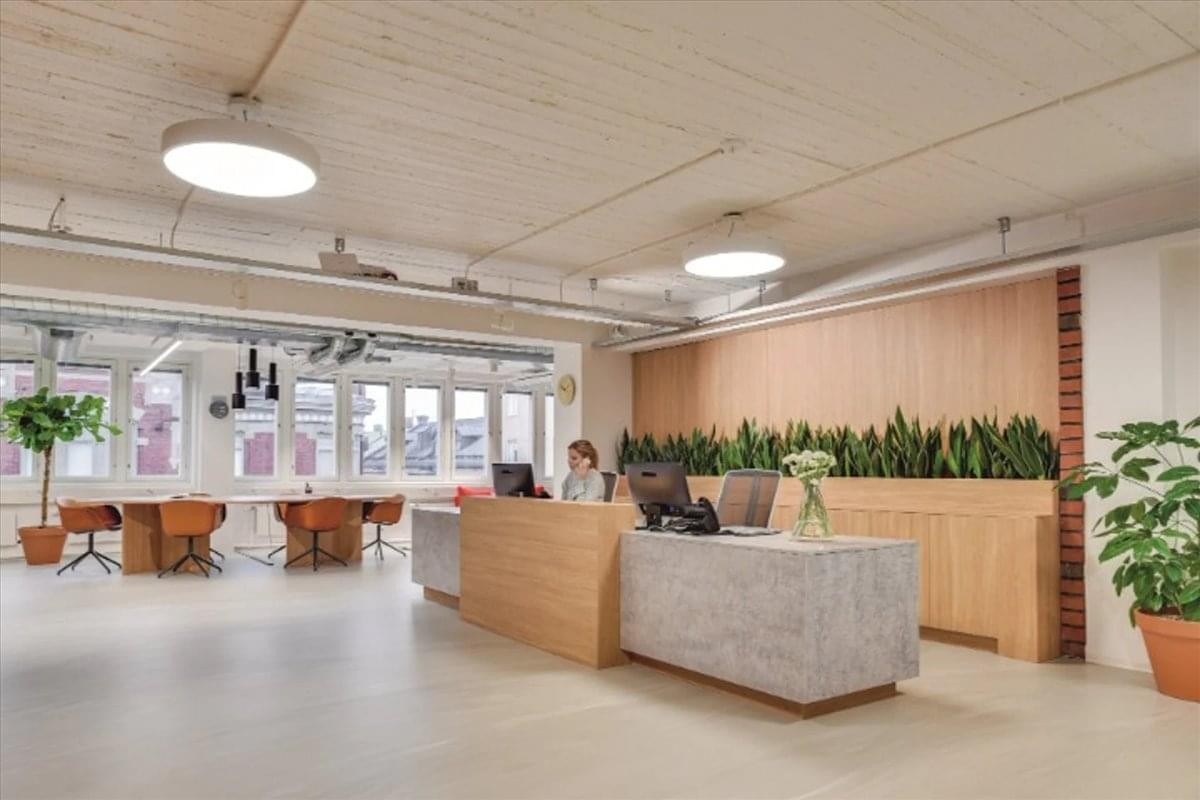 Reception area at 12 Hammersmith Grove with wooden desk, indoor plants, and soft overhead lighting.