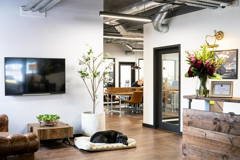 Spacious communal lounge and reception area at 16, Bridge Road, Haywards Heath, West Sussex with a dog on a bed.