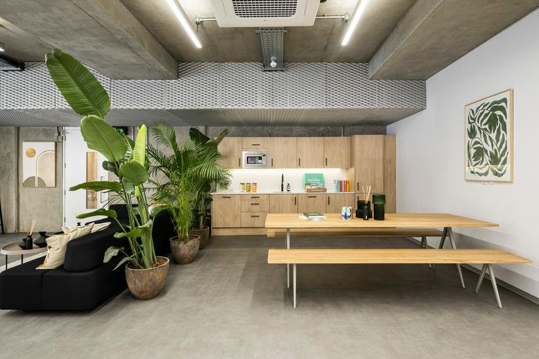 Spacious communal kitchen and dining area with large indoor plants at 17-20 Risborough Street.