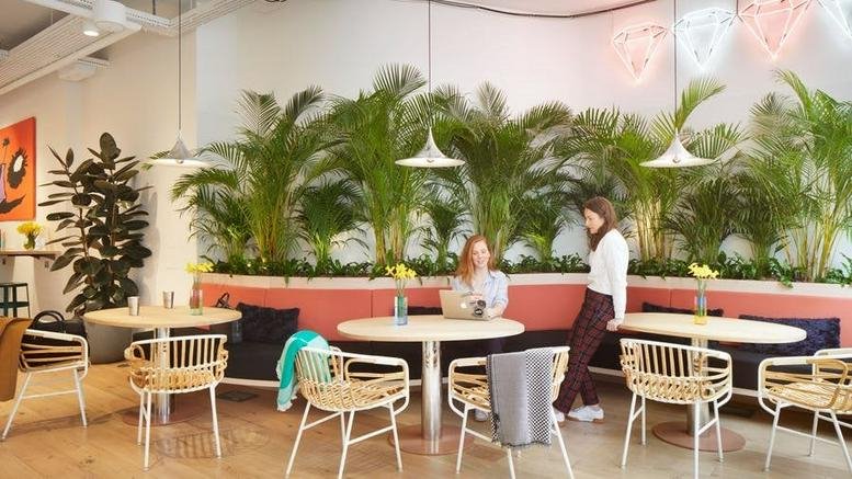 Spacious lounge at 21 Via San Marco, Milan, Italy featuring lush indoor plants and woven chairs.