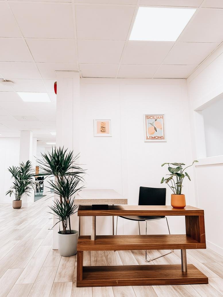 Reception area at Stocklund House with wooden desks, potted plants, and warm lighting.