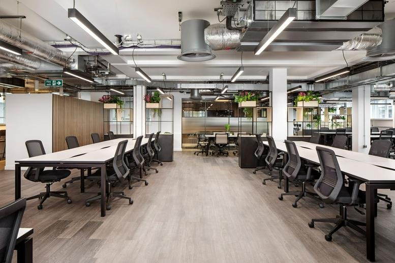 Long white shared desks in a modern office with natural light and hanging plants.