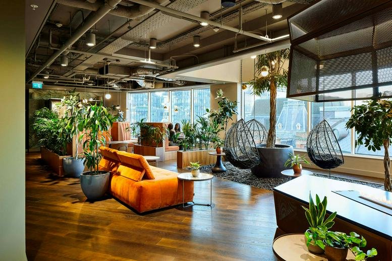 Sunlit breakout area with orange sofas, hanging egg chairs, and various potted trees.