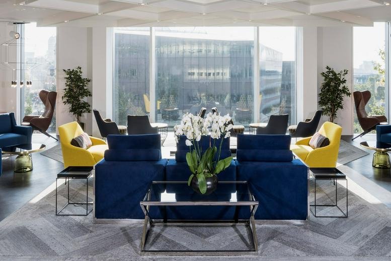 Vibrant communal lounge featuring plush blue sofas, yellow armchairs, and indoor plants.