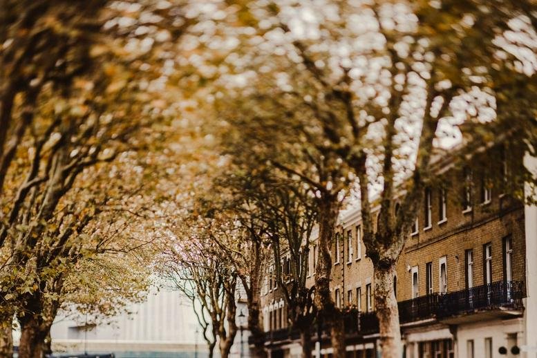Exterior view of the brick facade building at First Floor, 6 Nelson Street through a canopy of autumn trees.