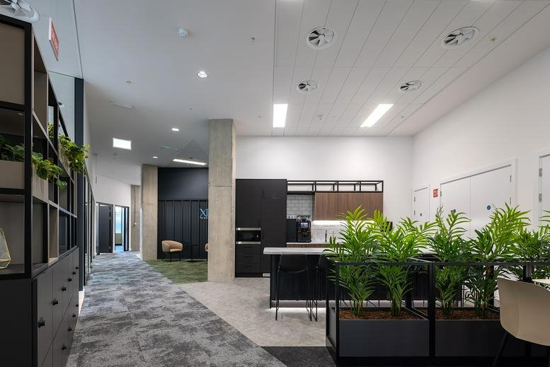 Spacious communal kitchen and breakout area with indoor plants and sleek black cabinetry.
