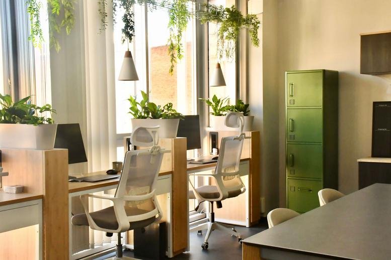 Sunny coworking space at 71, Carrer de Bailèn, Barcelona featuring wooden desks and hanging plants.