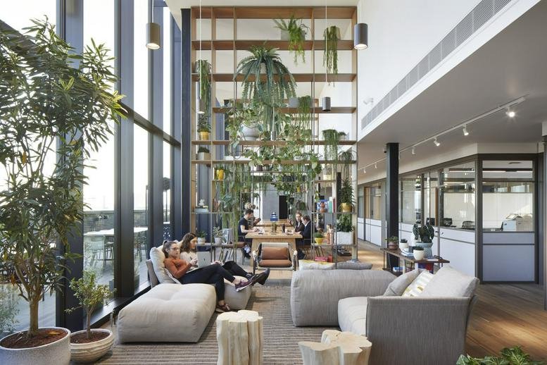 Bright, high-ceiling lounge with comfortable grey sofas and a tall shelving unit filled with greenery.