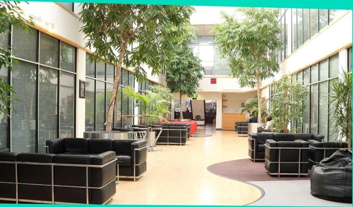 Spacious sunlit indoor atrium at Atrium Business Centre with trees and black leather sofas.