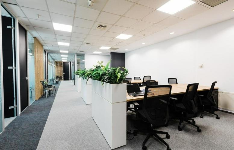 Meeting room with a long wooden table and indoor plants at 40-44 Banu Antonache Street, Floors 1-2, Floreasca.