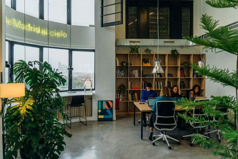 Spacious communal area at Calle de Alcalá 63, Retiro, Madrid, Spain with tall windows and lush indoor plants.