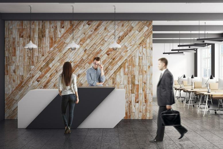 Spacious reception area at Calle Ferrocarril 37, Entreplanta A, Arganzuela, Madrid with a wood-slat feature wall.