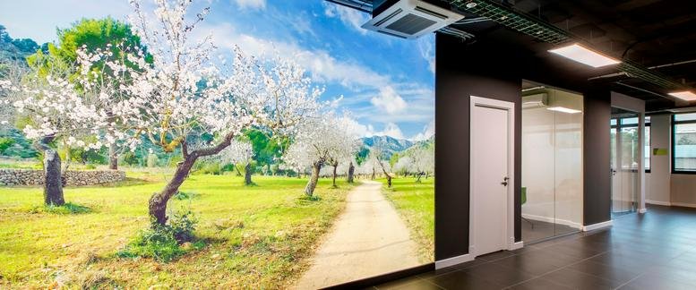 Spacious coworking area at Carrer del Fluvià, 1, Bajos with a vibrant nature mural and modern office lighting.