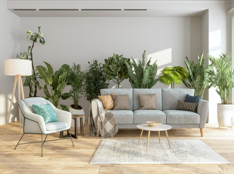 Spacious lounge area with a grey sofa, armchair, and numerous potted plants.