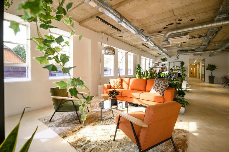 Bright lounge area at House 311, Lambourne with an orange sofa, green armchair, and hanging plants.