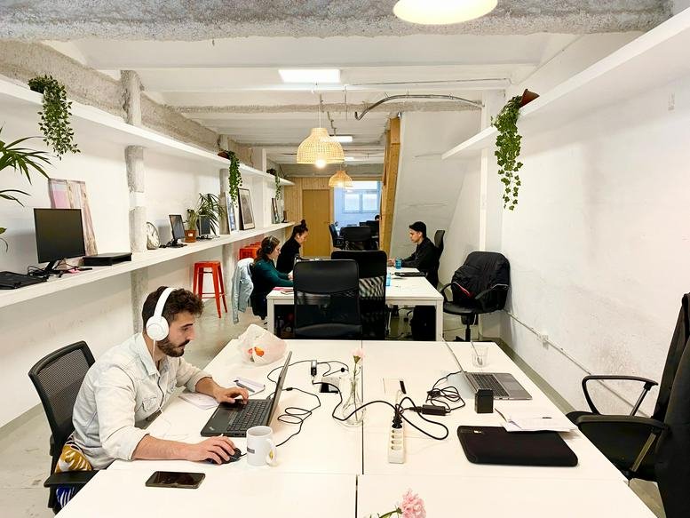 Shared workspace with white desks, hanging plants, and natural light.