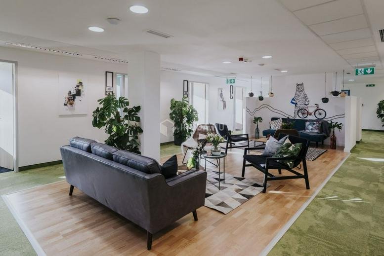 Spacious communal lounge at Lajos Street 48-66 with leather sofas, indoor plants, and creative wall art.