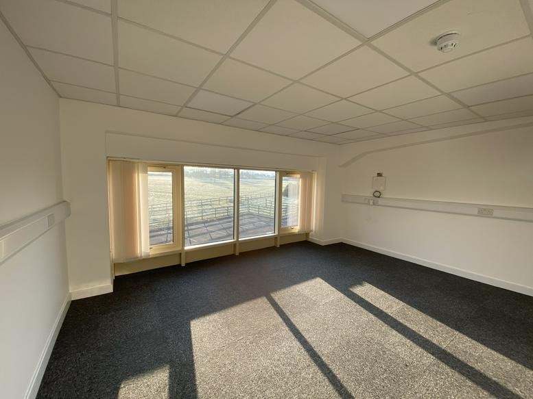 Spacious empty office with dark grey carpet and long landscape windows.