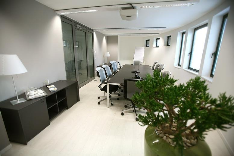 Spacious boardroom at 1/2, rue Hildegard von Bingen featuring a long table, green plant, and natural light.
